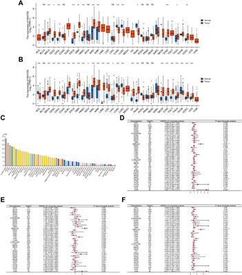 Differential expression of HAVCR2 gene in pan-cancer: A potential biomarker for survival and immunotherapy